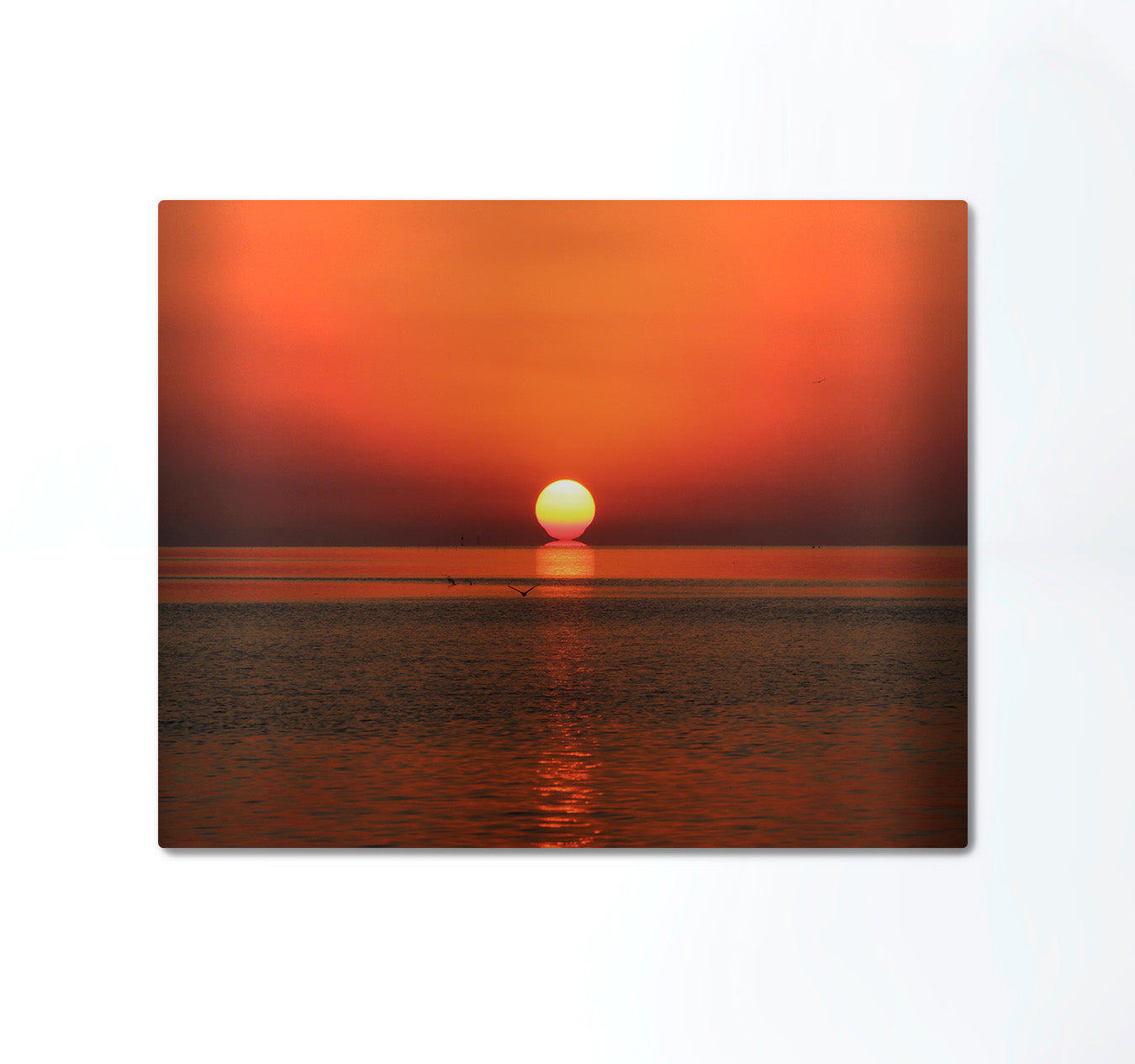 Summer Sunset Metal Print