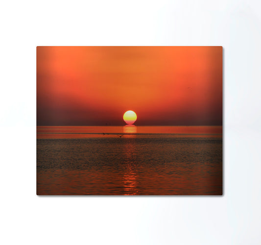 Summer Sunset Metal Print